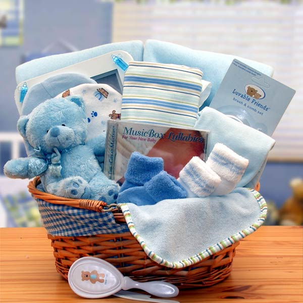 Simply The Baby Basics New Baby Gift Basket- Blue- baby boy gift